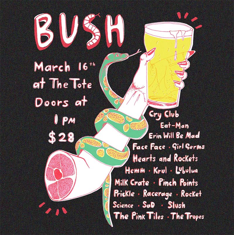 Rocket Science play the Bush Music Festival at the Tote